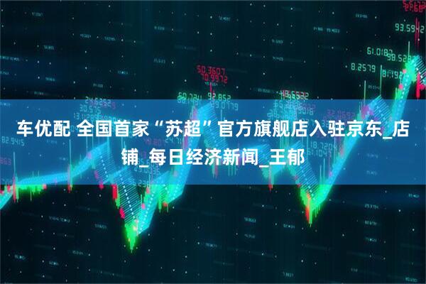 车优配 全国首家“苏超”官方旗舰店入驻京东_店铺_每日经济新闻_王郁