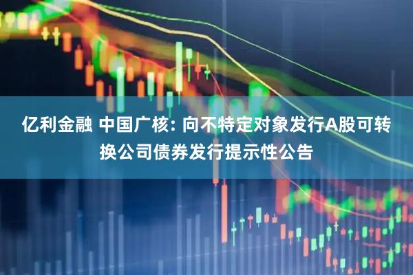 亿利金融 中国广核: 向不特定对象发行A股可转换公司债券发行提示性公告