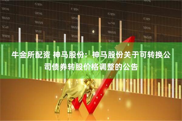 牛金所配资 神马股份:  神马股份关于可转换公司债券转股价格调整的公告